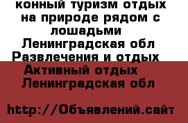 конный туризм,отдых на природе рядом с лошадьми - Ленинградская обл. Развлечения и отдых » Активный отдых   . Ленинградская обл.